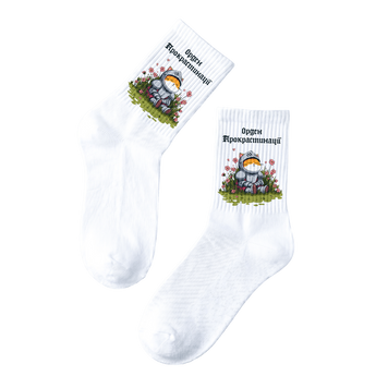Шкарпетки "Орден Прокрастинації" (розмір 36-41) socks-order фото